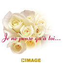 je ne pense qu'à toi